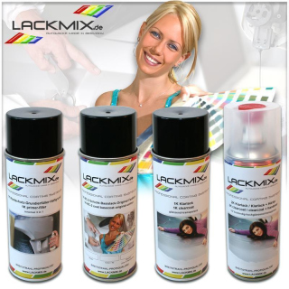 1K Spraydose RAL 7009 Grüngrau / Basislack (400ml) oder Lackspray Sets / Lackmix.