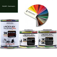 2K Lack RAL 6007 Flaschengrün / RAL Acryl Express Einschichtlack / Alle Mengen & Sets / Lackmix