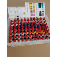 T202 Orange. WBC Mischlack (Basislack) gallery