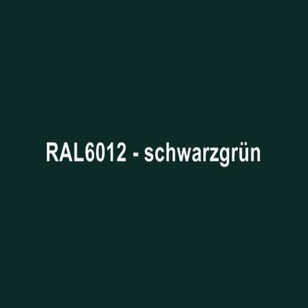 RAL 6012 Schwarzgrün