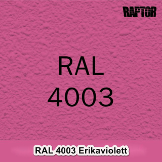 Raptor RAL 4003 Erikaviolett